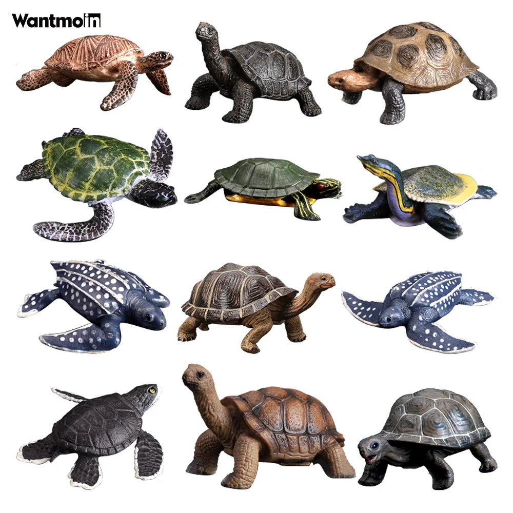 Wantmoin Tartaruga modelo animal de Galápagos tartaruga tartaruga figura modelo animal de brinquedo coleção educacional presente das crianças